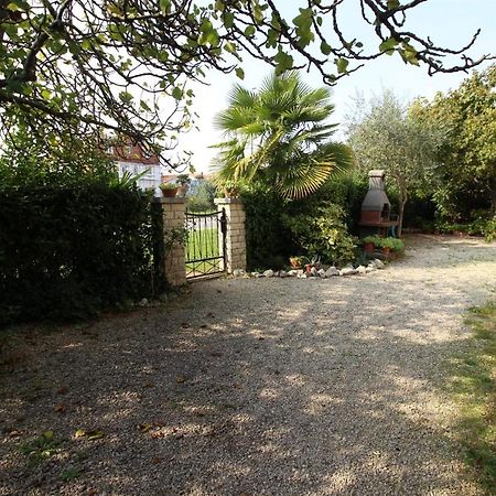 Gianna N2, 600 M From The Beach Novigrad Istria Eksteriør billede
