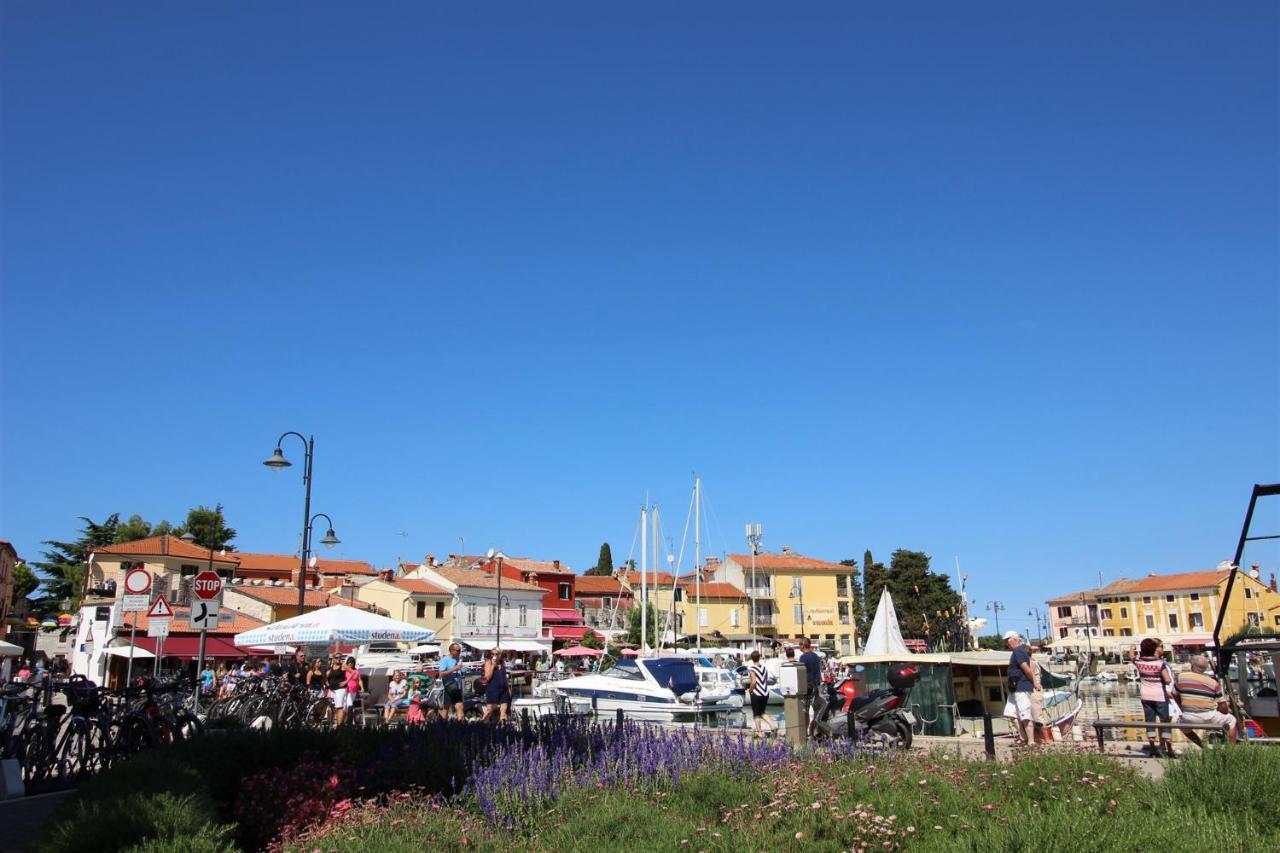 Gianna N2, 600 M From The Beach Novigrad Istria Eksteriør billede
