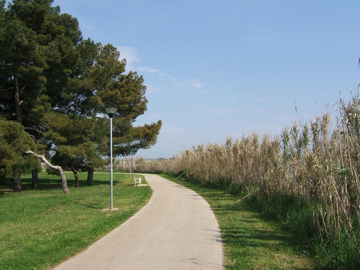 Gianna N2, 600 M From The Beach Novigrad Istria Eksteriør billede